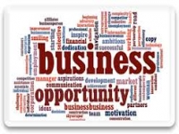 Business & Investment Opportunities