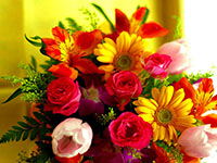Buy Flowers & Gifts